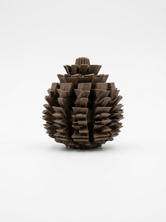 Paincone Forest